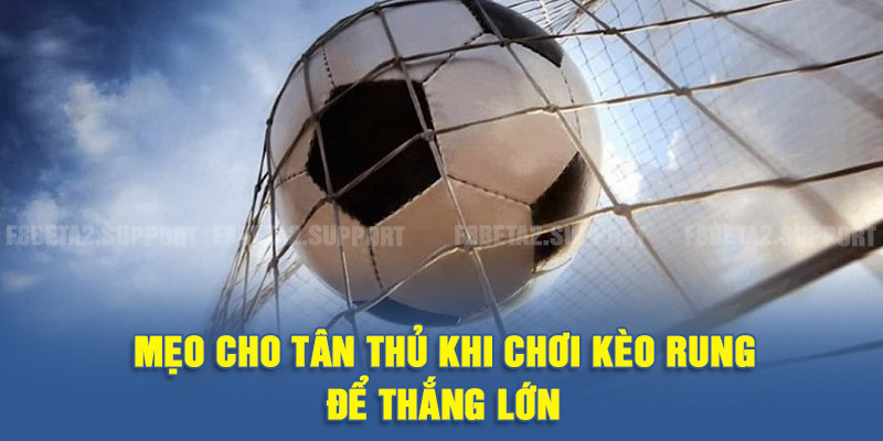 Mẹo cho tân thủ khi chơi kèo rung để thắng lớn